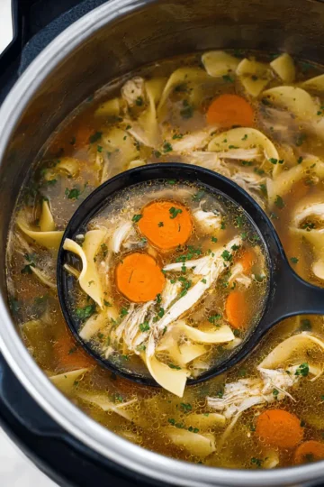 Instant Pot Chicken Noodle Soup