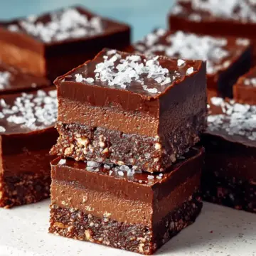 No-Bake Fudgy Chocolate Squares