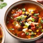 Slow Cooker Fiesta Chicken Soup