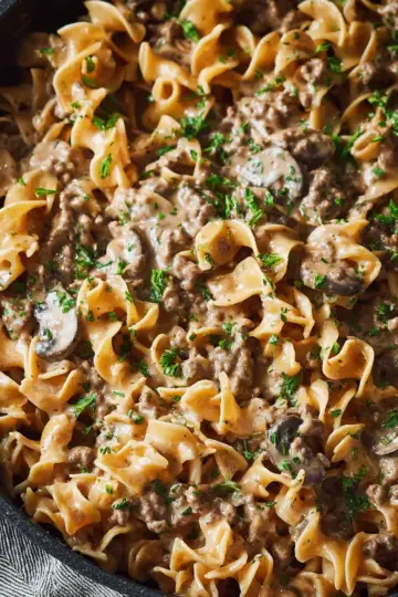 Ground Beef Stroganoff Recipe