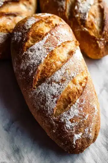 Artisan Bread Recipe